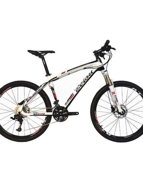 Carbon Fiber Mountain Bike Hardtail